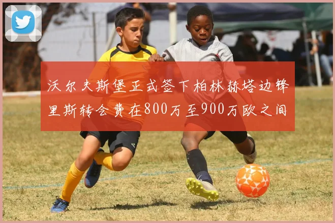 沃尔夫斯堡正式签下柏林赫塔边锋里斯转会费在800万至900万欧之间