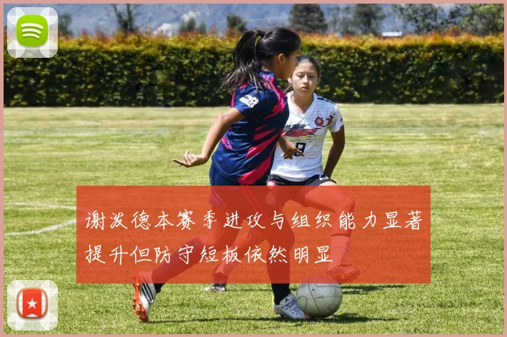 谢泼德本赛季进攻与组织能力显著提升但防守短板依然明显